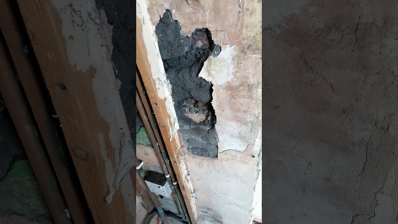 Высокие показания влагомера повсюду? Остерегайтесь раствора Black Ash