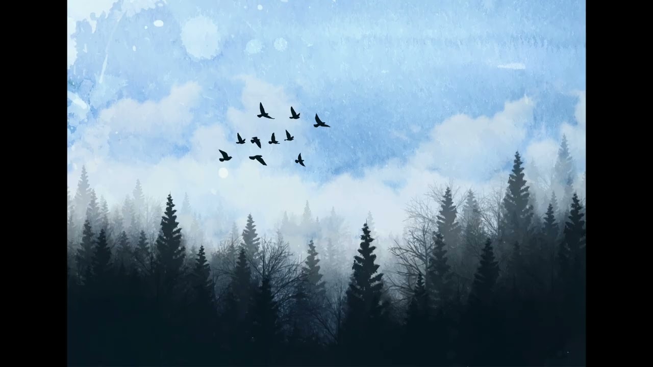 Misty Pines & Silent Flight – Relaxing Forest Wallpaper | Calm Nature Background | T.V. Wallpaper 