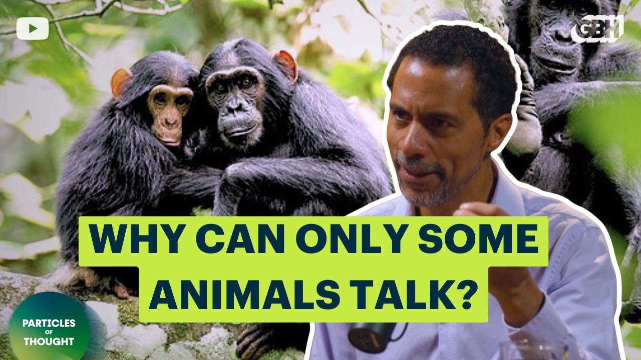 Why Only Some Species Can Talk—and Dance | Erich Jarvis