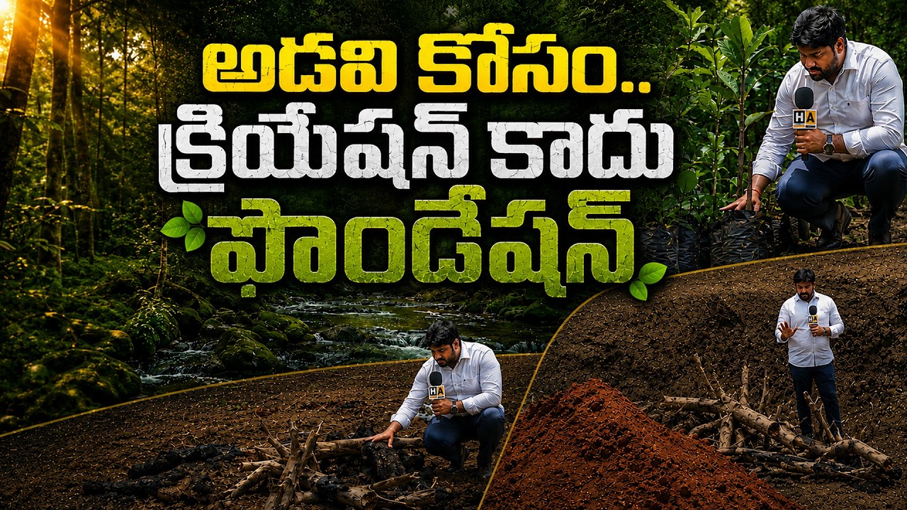 Amazon forest  | అడవి కోసం.. క్రియేషన్ కాదు ఫౌండేషన్