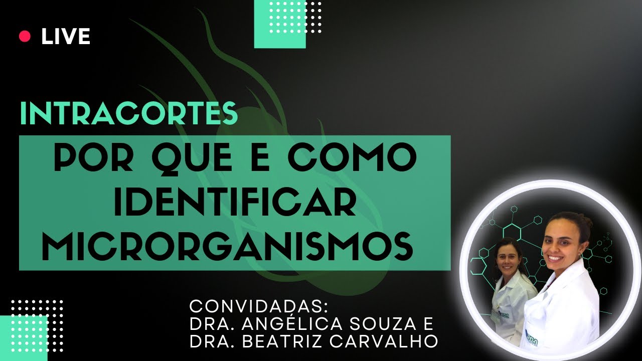 Por que e Como Identificar Microrganismos