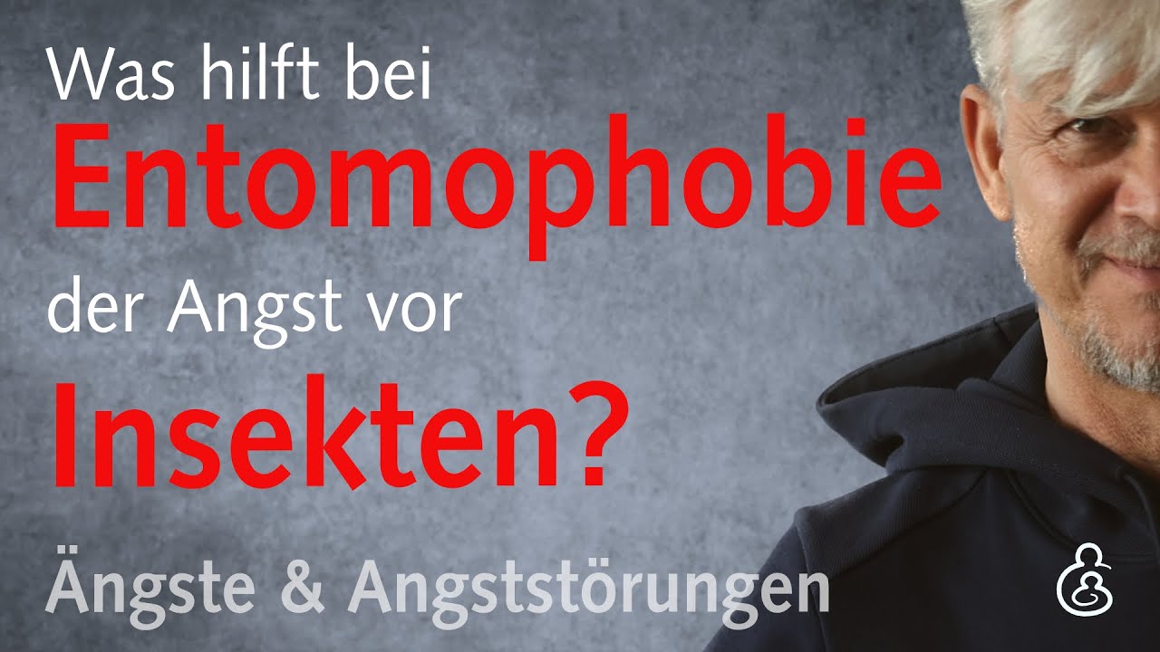 Was ist eine Entomophobie, und was hilft bei der Angst vor Insekten?