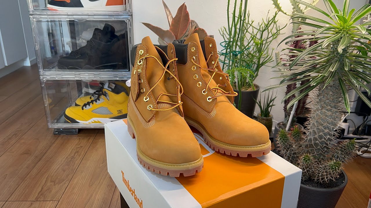 Timberland 6inch Premium WaterproofBoot Wheat  ティンバーランド 6インチ プレミアムウォータープルーフ ブーツ ウィ—ト　1
