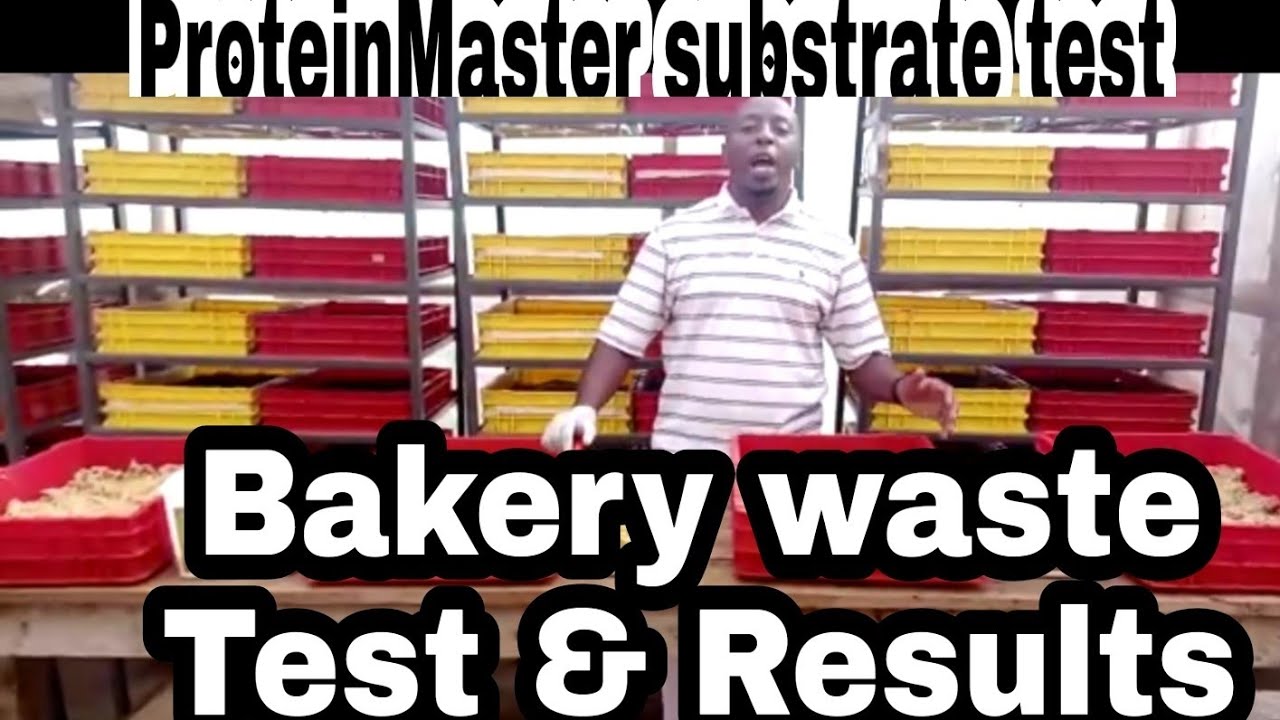 ProteinMaster :Bakery waste test