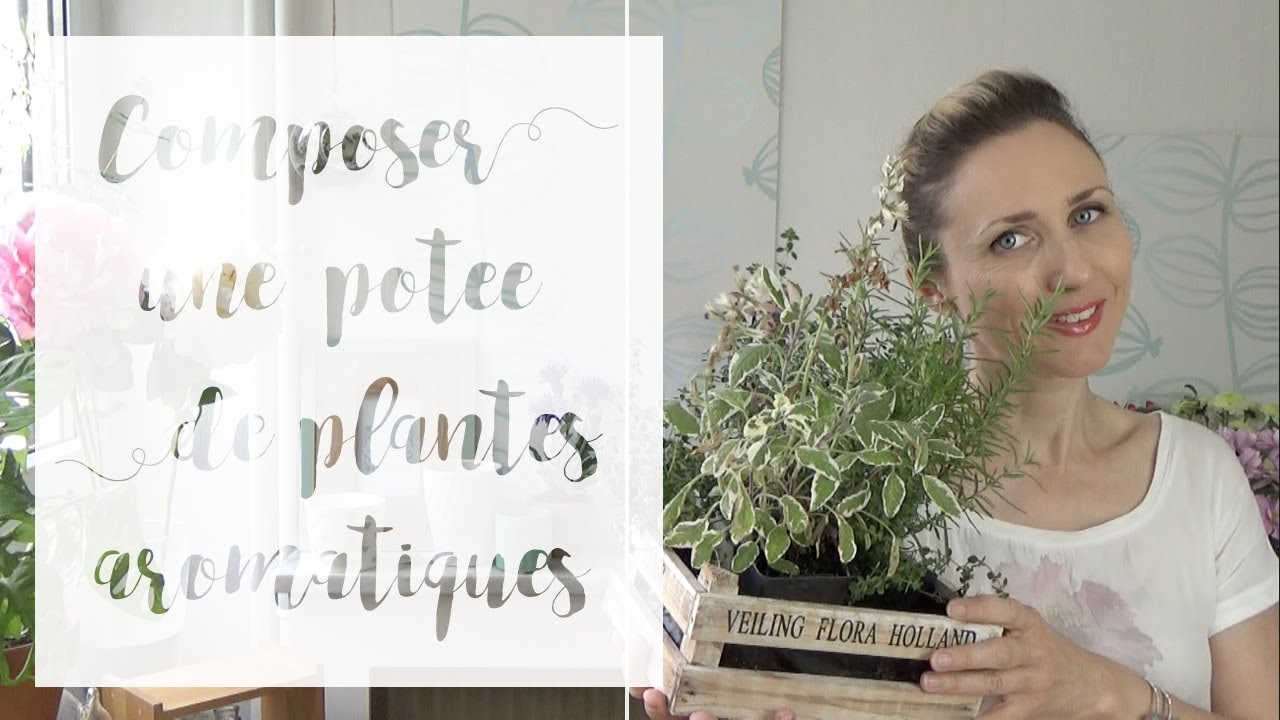 Comment associer les plantes aromatiques ? | SERIE Aromatiques en pot