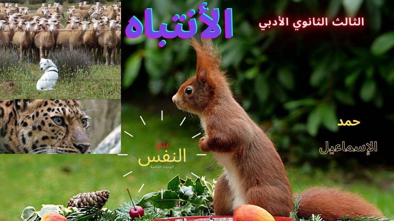 الثالث الثانوي الأدبي- فلسفة- الدرس الأول: الانتباه.