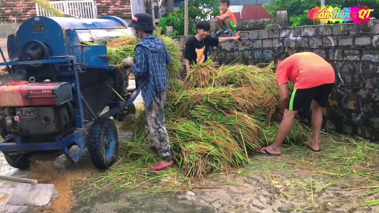Cận Cảnh M&aacute;y Tuốt L&uacute;a Di Chuyển V&agrave; Tuốt L&uacute;a/M&aacute;y Tuốt L&uacute;a/M&aacute;y Đập L&uacute;a Li&ecirc;n Ho&agrave;n
