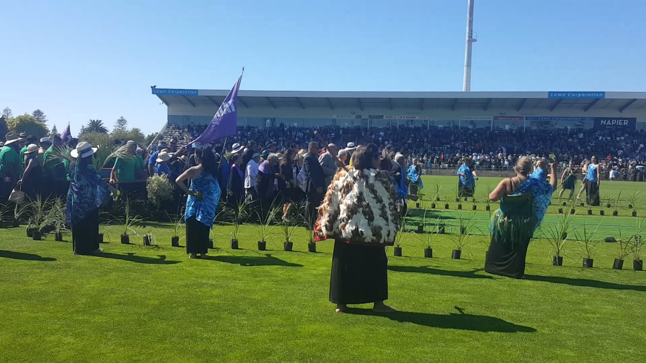 Te Matatini 2017 in Heretaunga