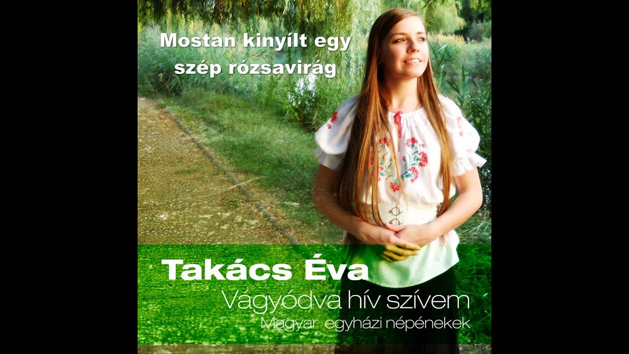 Mostan kinyílt egy szép rózsavirág