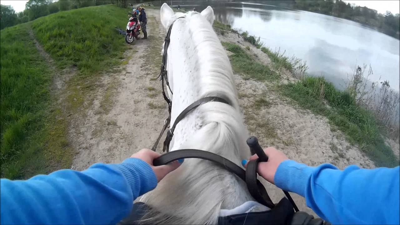 Teren, galop MAJA
