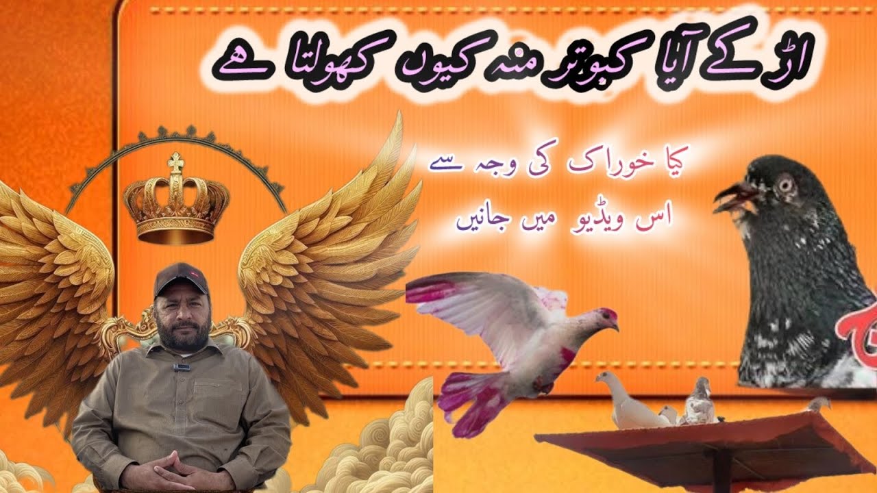 Ustad Zubair Ahmad bhatti//