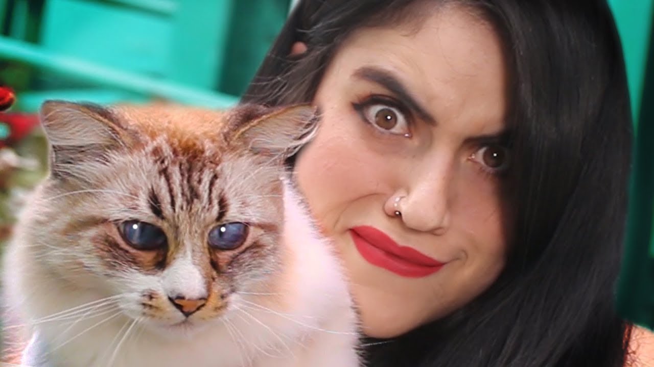 ¡Ayuda! Qué tiene mi gato? 😢🐱 #StoryTime
