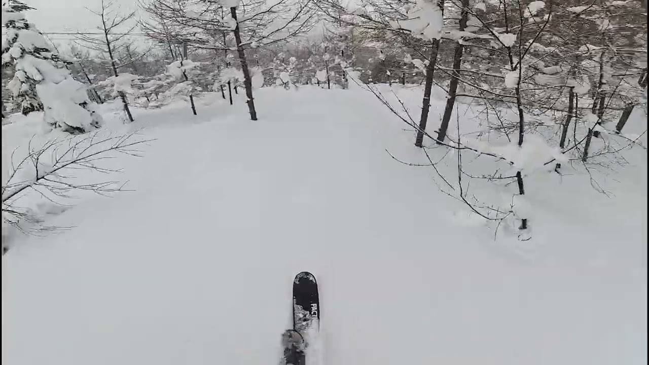 2026 0201 あじゃら山スキー 雪下ろし２