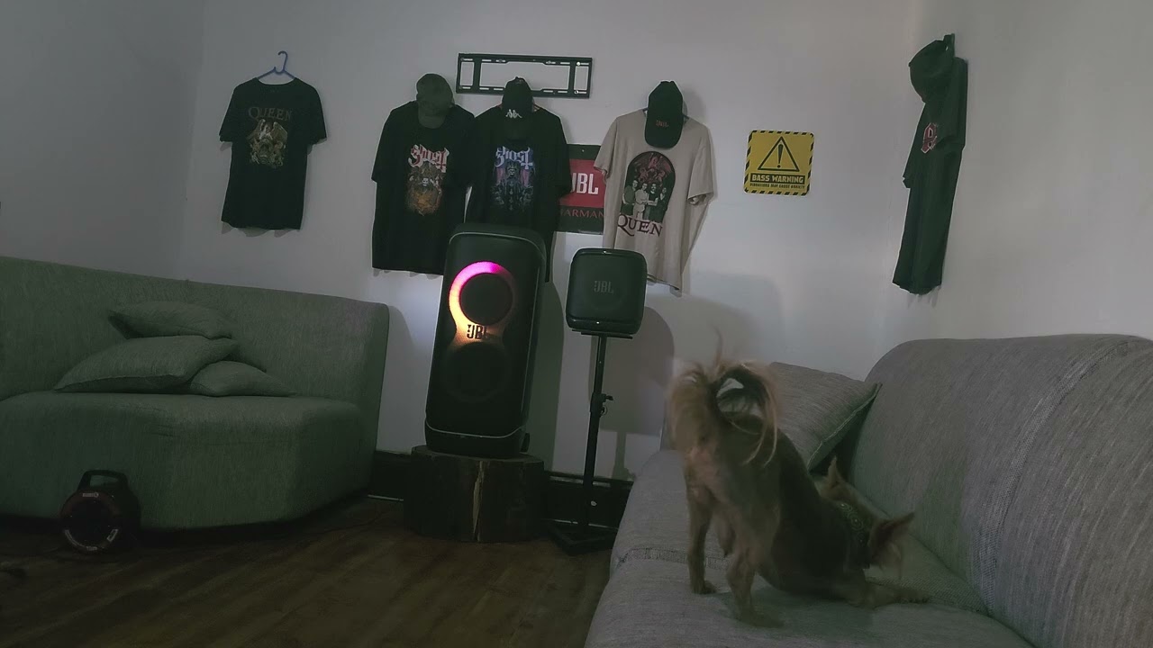 JBL Partybox 720: ГРОМКИЕ БАСЫ / Кристально чистое качество звука