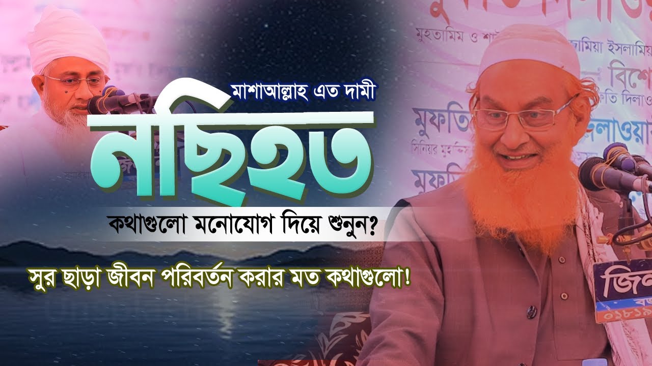 সুর ছাড়া জীবন পরিবর্তন করার মত কথাগুলো মাশাআল্লাহ | হাফেজ মাওঃ আব্দুর রহমান সাহেব নোয়াখালী