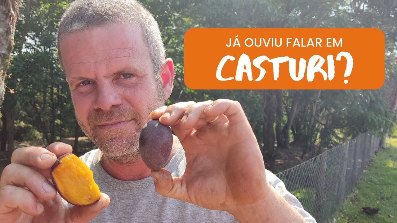 DUVIDO você conhecer essa manga!