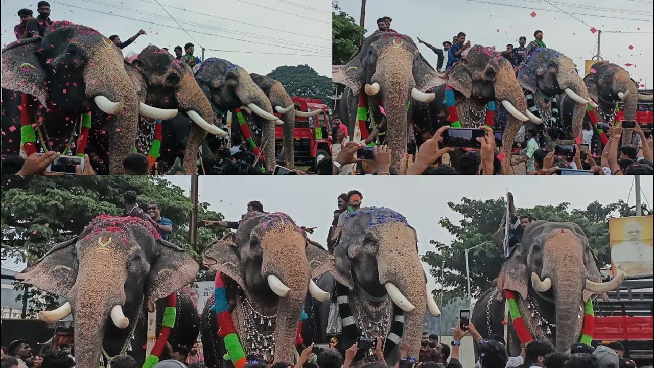 തീപ്പൊരികൾ ഏറ്റുമുട്ടിയപ്പോൾ കുന്നംകുളത്തിന്റെ മണ്ണിൽ ഗജവീരന്മാരുടെ സ്വീകരണം|adupputty perunnal 2023
