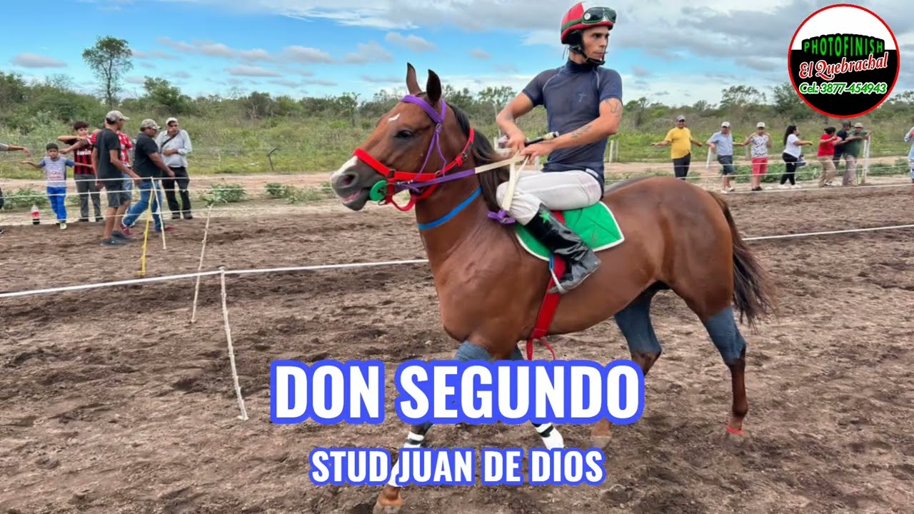 Nataly vs Buen Amigo vs Don Segundo