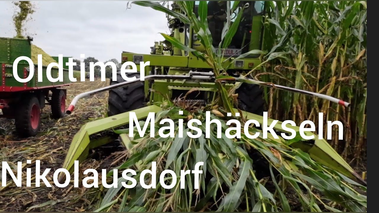Oldtimer Maishäckseln, Nikolausdorf, 2023, Traktoren, Häcksler, Veranstaltungen Garrel/Cloppenburg