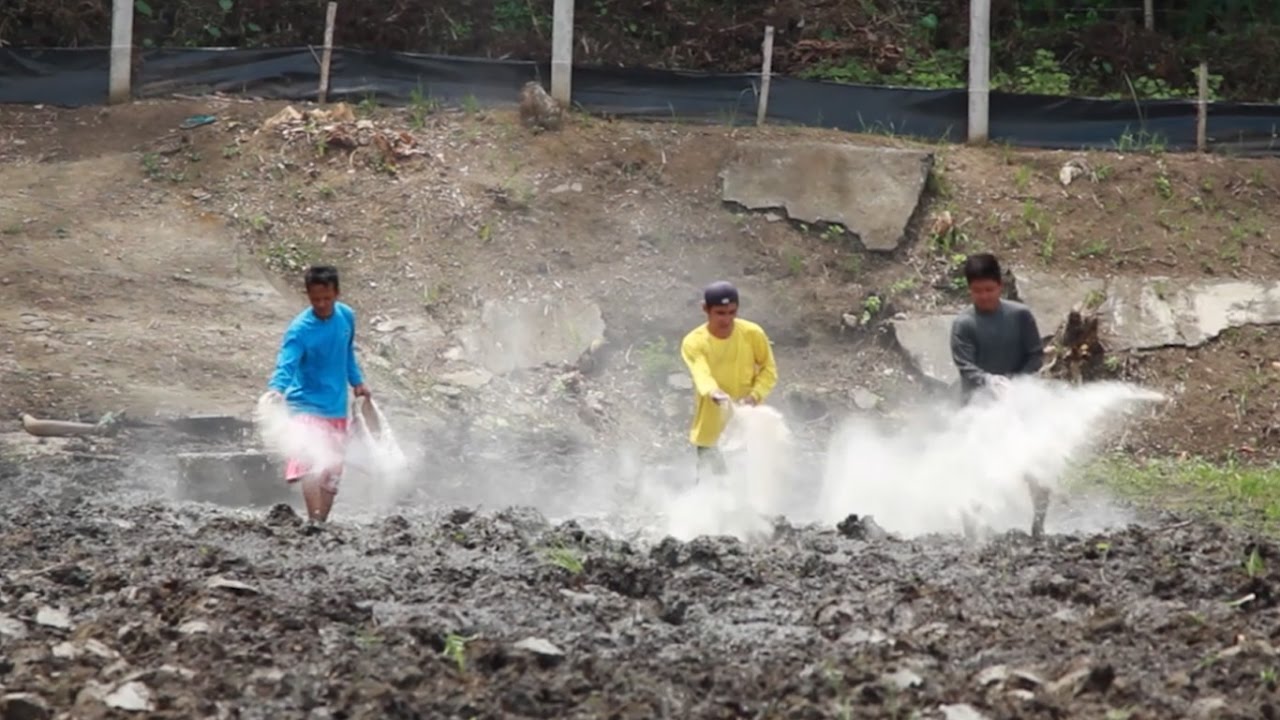 Safe Biological Products in Shrimp Farming | TatehTV Episode 12