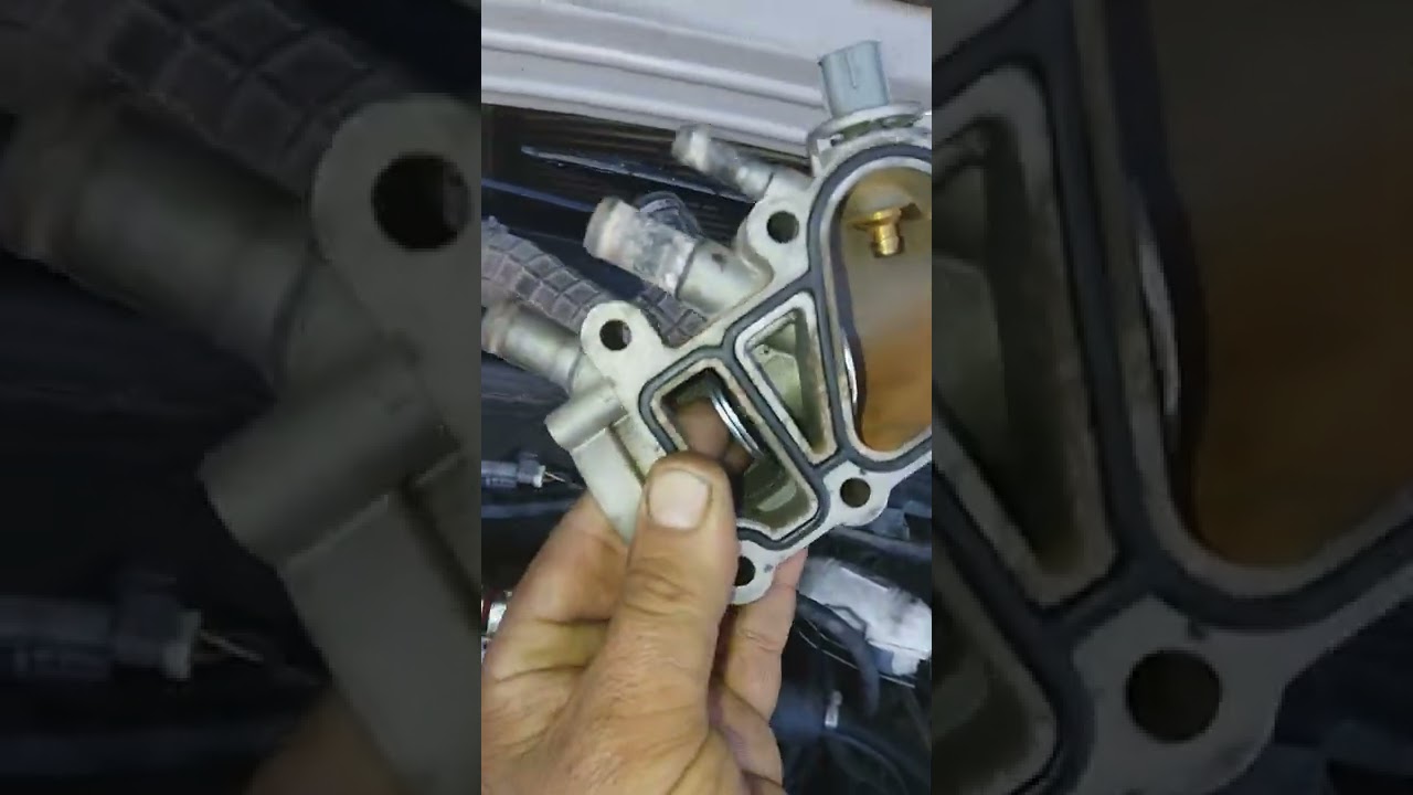 Como anular termostato doble acción Ecosport