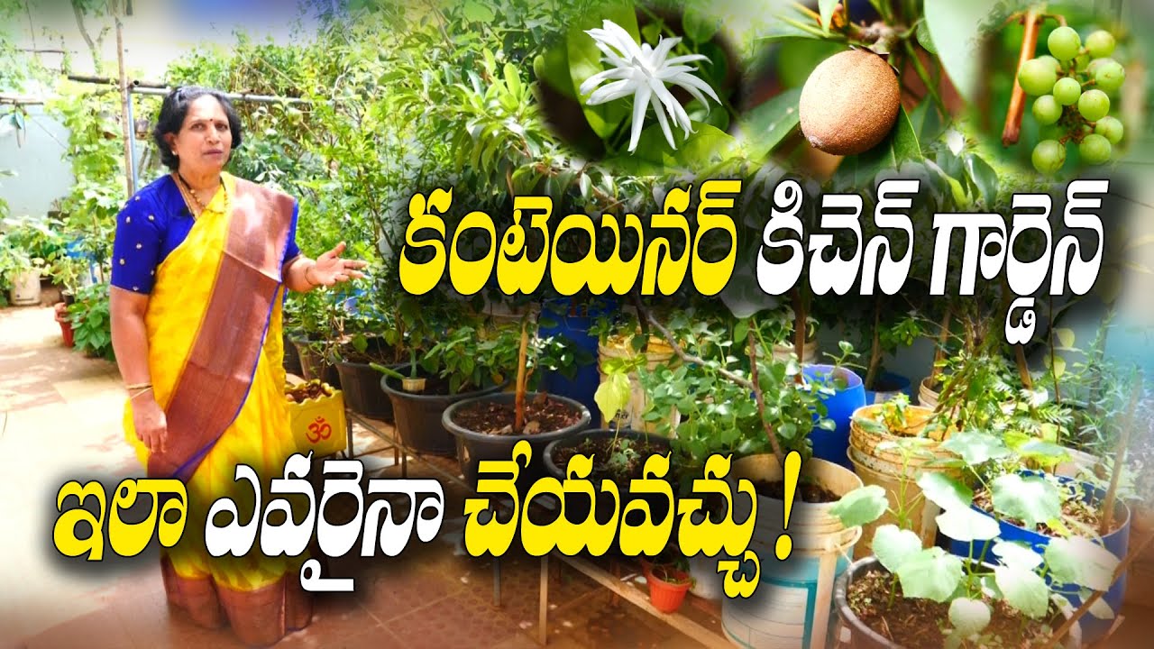 3 రోజుల ఫార్ములా - నెల రోజులు మొక్కలు బేఫికర్ | Kitchen Garden | Sukanya Lakshmi