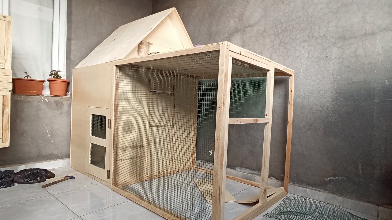 pigeon poultry making Güvercin tavuk kümesi yapılışı