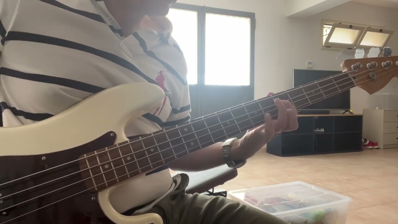 Pale Saints - Fine Friend bass cover