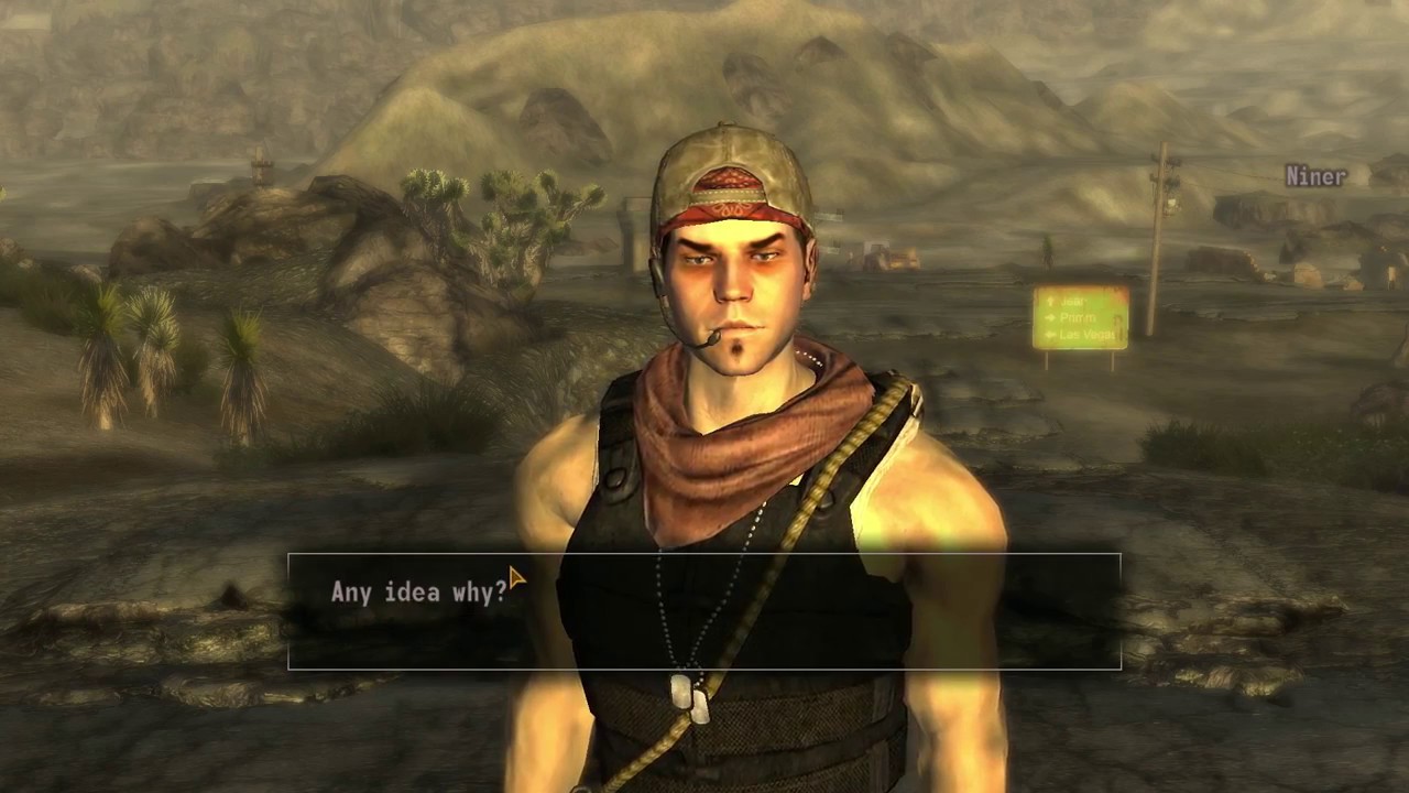 Niner - The Druggie Companion (New Vegas Mods)