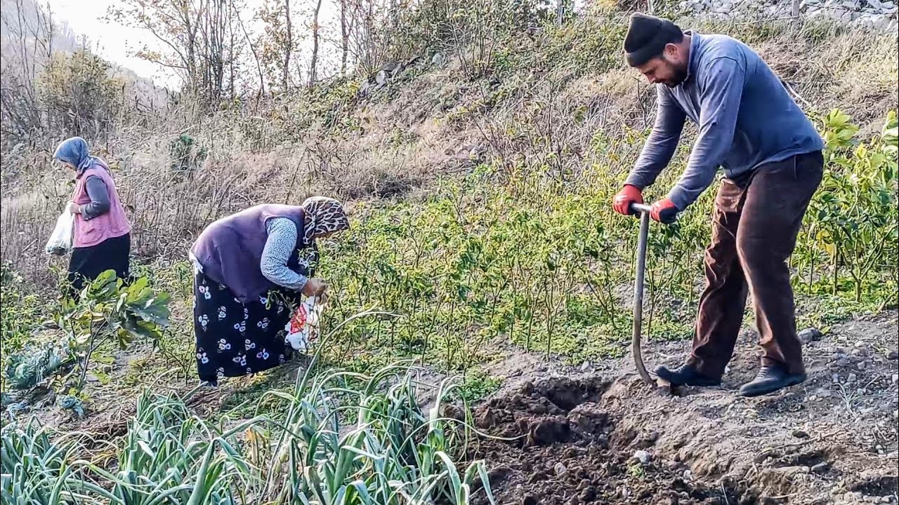Karadeniz'de Yaşam - Köyde Hayat - Bahçe İşleri - Tohum Ekimi