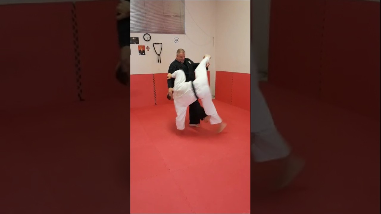 KENPO-AIKIJUTSU CORPO MENTE SPIRITO! MAESTRO 6° DAN LUCIO PICCIOLI RESPONSABILE NAZIONALE MSP ITALIA