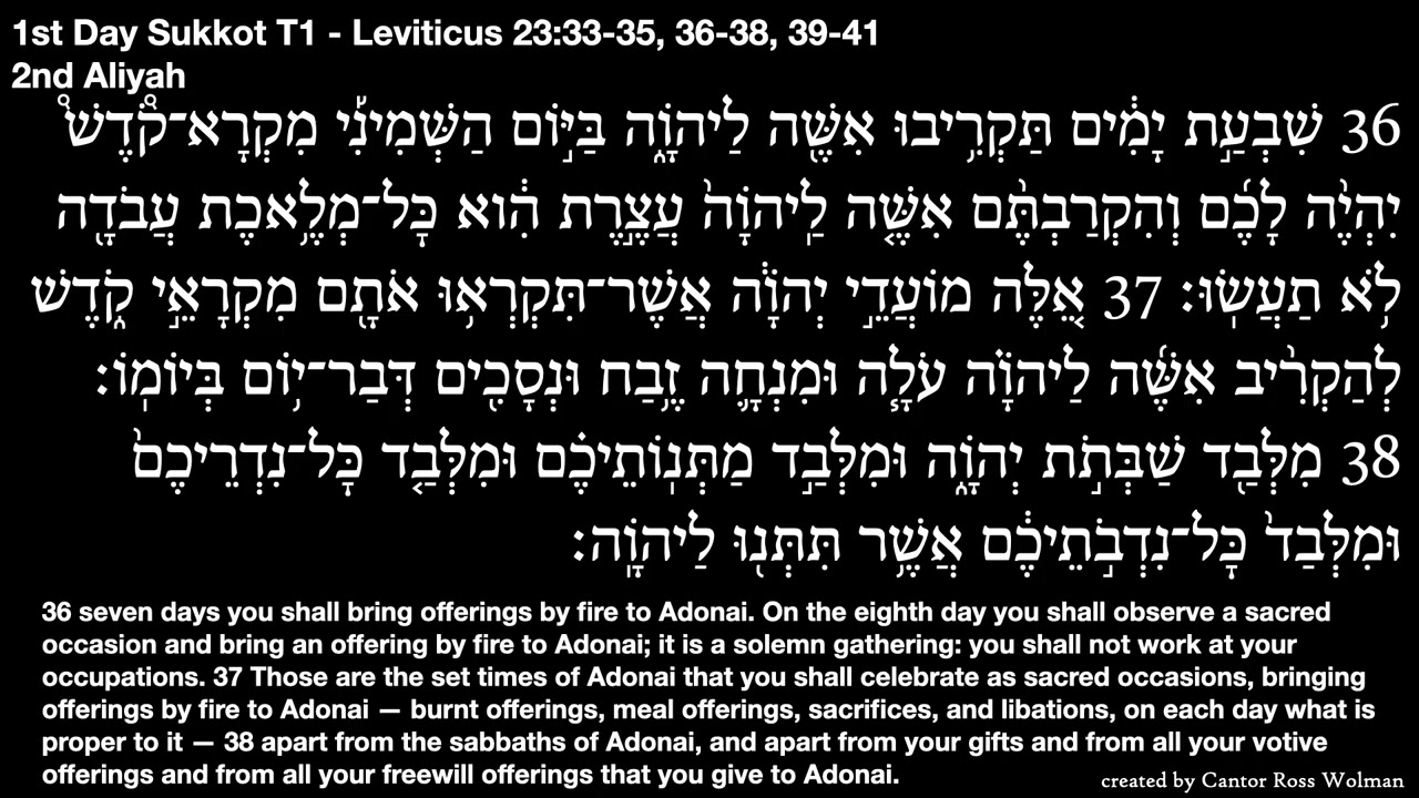 Torah 1st Day Sukkot T1 - Leviticus 23:33-35, 36-38, 39-41