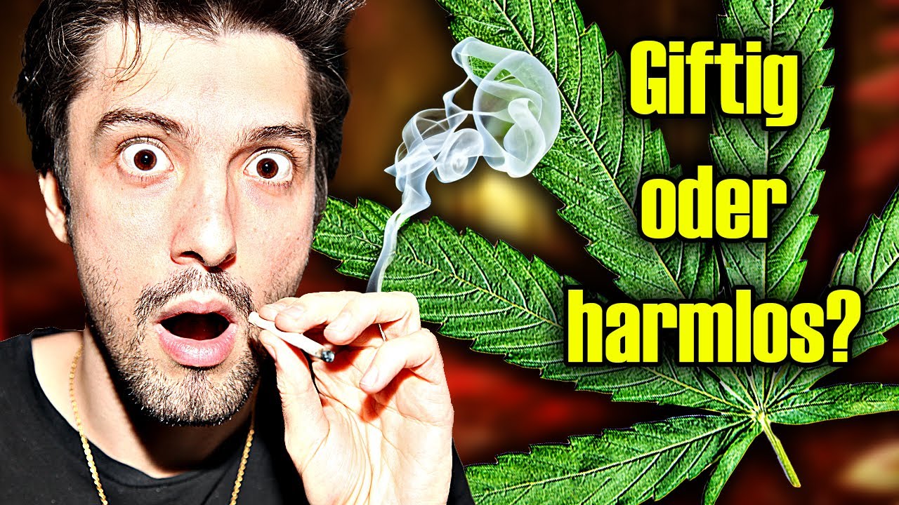 Wie schlimm ist Cannabis wirklich? Biologe verrät die Wahrheit
