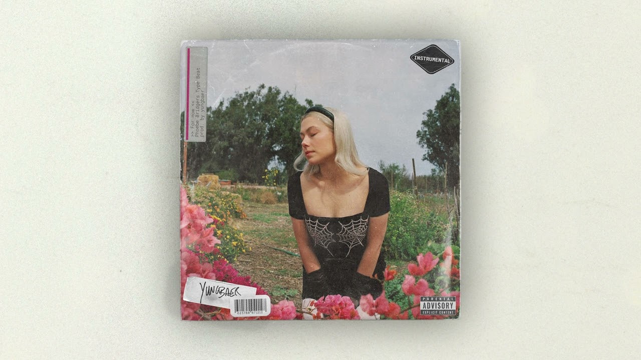 Phoebe Bridgers | Lizzy McAlpine | Indie x Alt Pop Type Beat - 