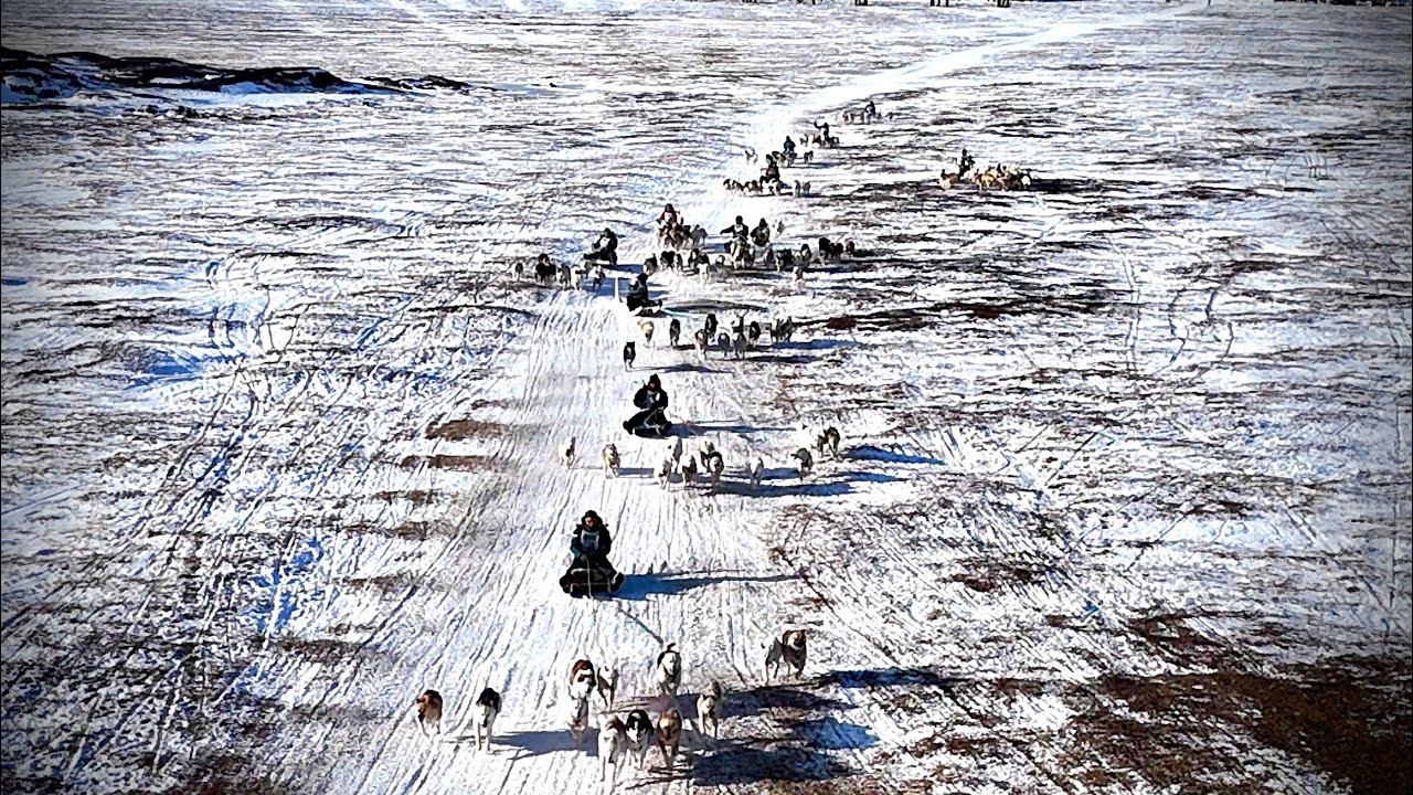 Avannaata Qimussersuanut anngunniunneq 2026 Ilulissat