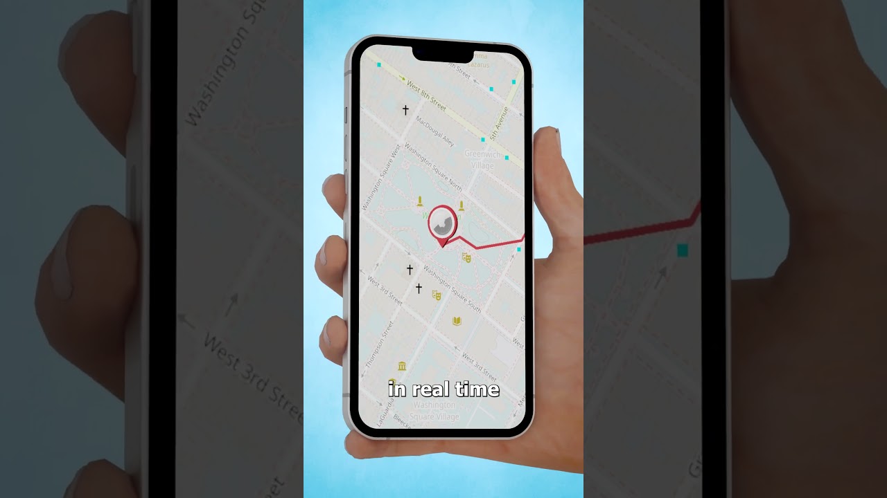 Can AirTags Track Whales? 🤔