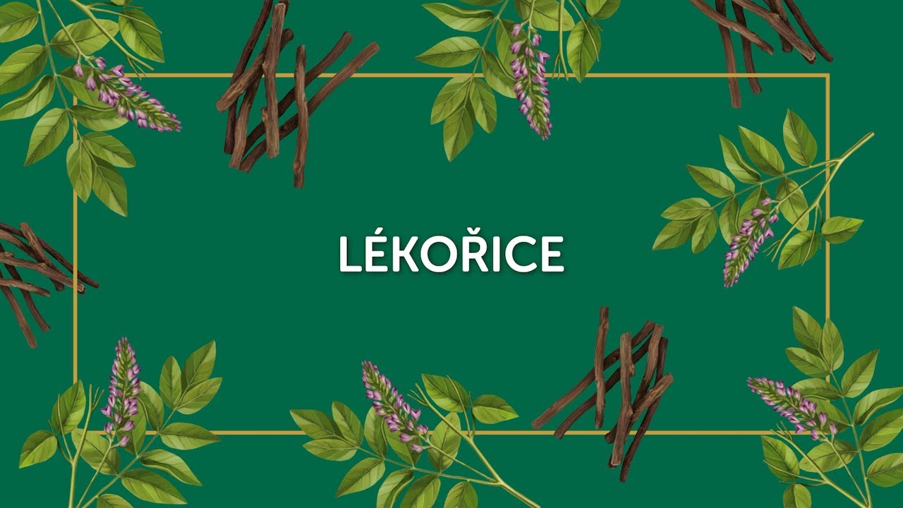 L&Eacute;KOŘICE - DIANA COMPANY & @TOJIDLO - &Scaron;KOLA PŘ&Iacute;RODY