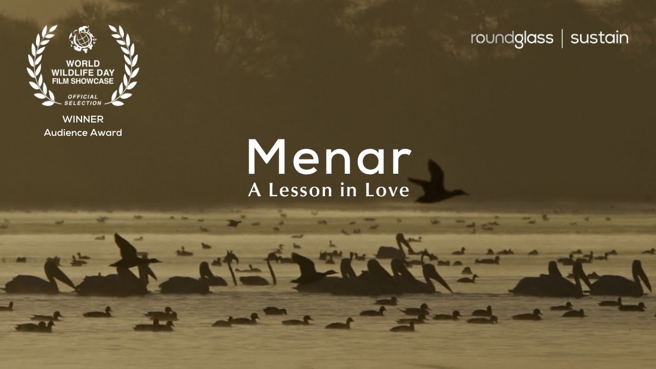 Menar: A Lesson In Love| Menar Lake Migratory Birds & Pakshi Mitras | @RoundglassSustain