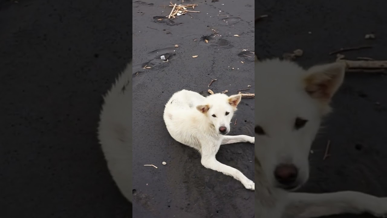 BLACK SAND BEACH, Bali 🇮🇩