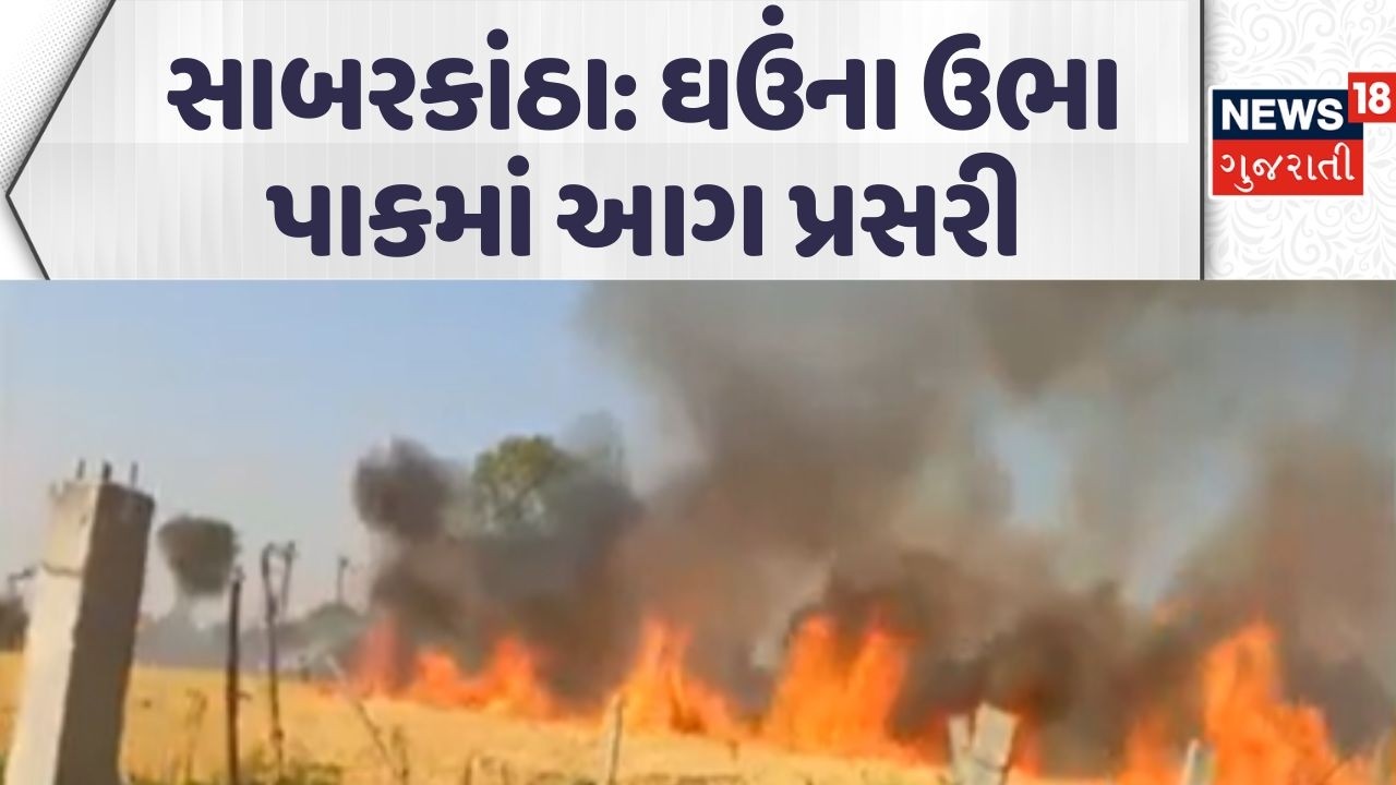 Fire broke out in Sabarkantha | ઘઉંના ઉભા પાકમાં આગ પ્રસરી | wheat crop | Farmers | News18 Gujarati
