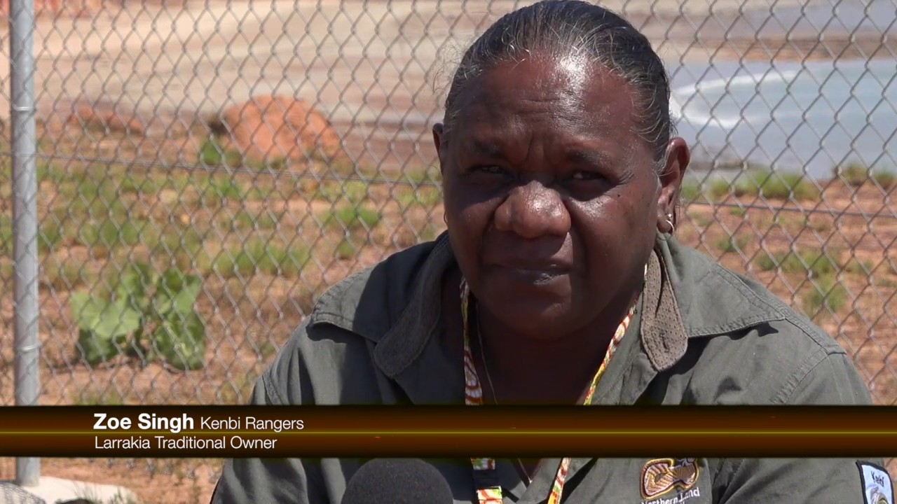 Aboriginal TV Channel 4 NEWS - Indigenous Ranger Forum