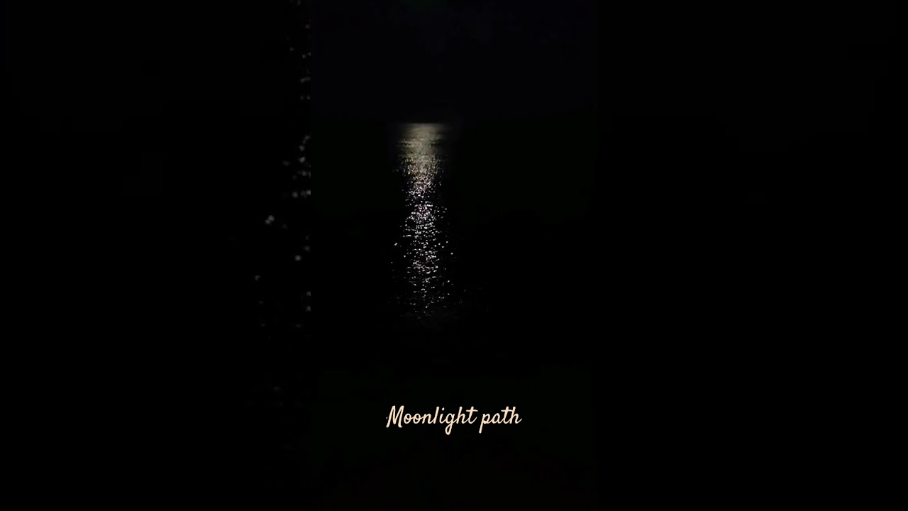 #moonlightpath #moonlight #sea #луннаядорожка #море #хит #hit