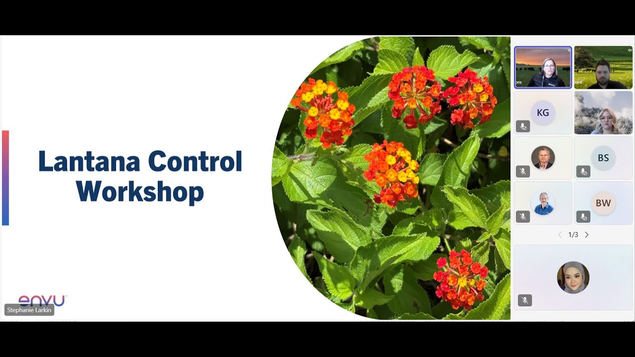 AU Online Workshop  Effective Lantana Control with Method 240SL Final