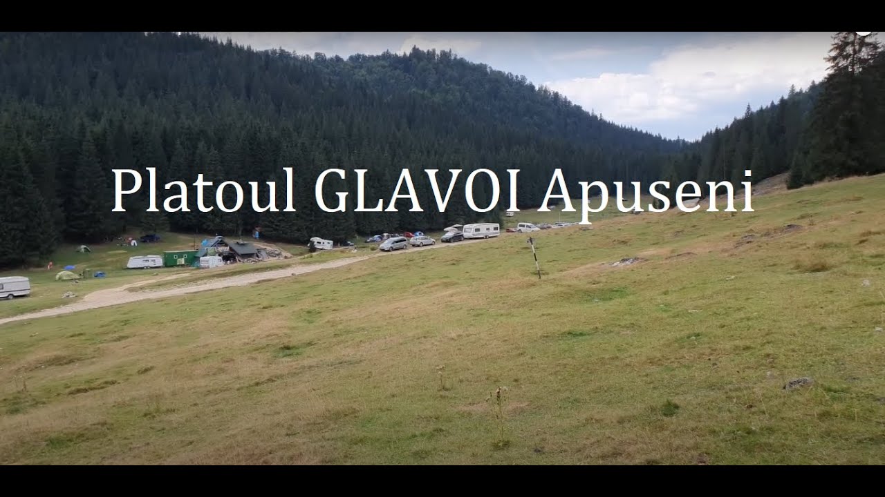 Platoul Glavoi Padis Apuseni...