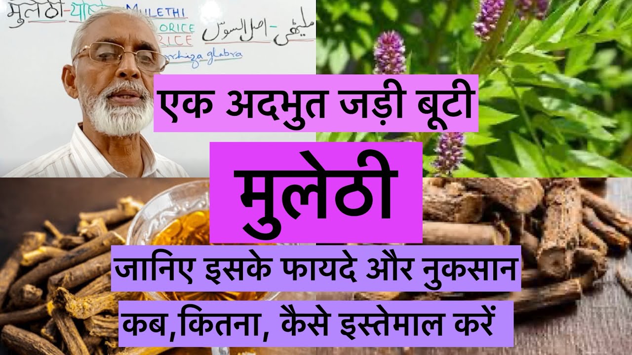 एक अदभुत जड़ी बूटी- मुलेठी, जानिए इसके फायदे और नुकसान कब,कितना, कैसे इस्तेमाल करें