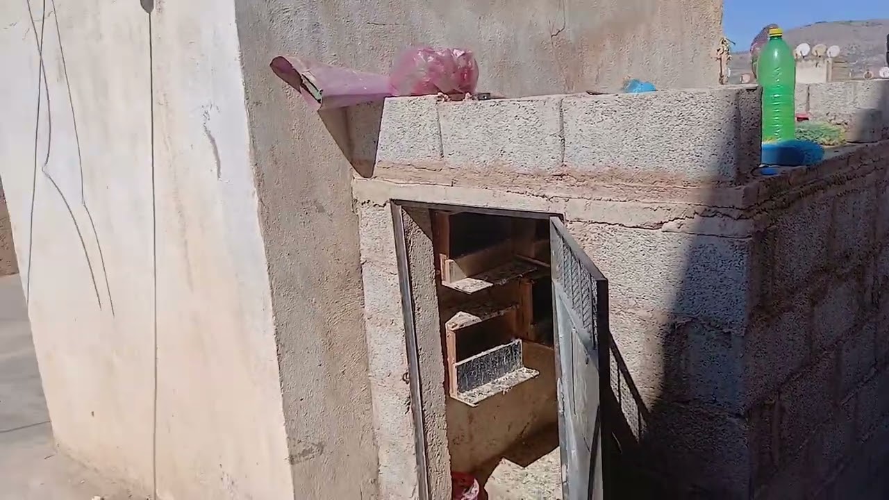 سلام خوتي توليعة مسائية فسجنة 🕊وتفريق الإناث على ذكور