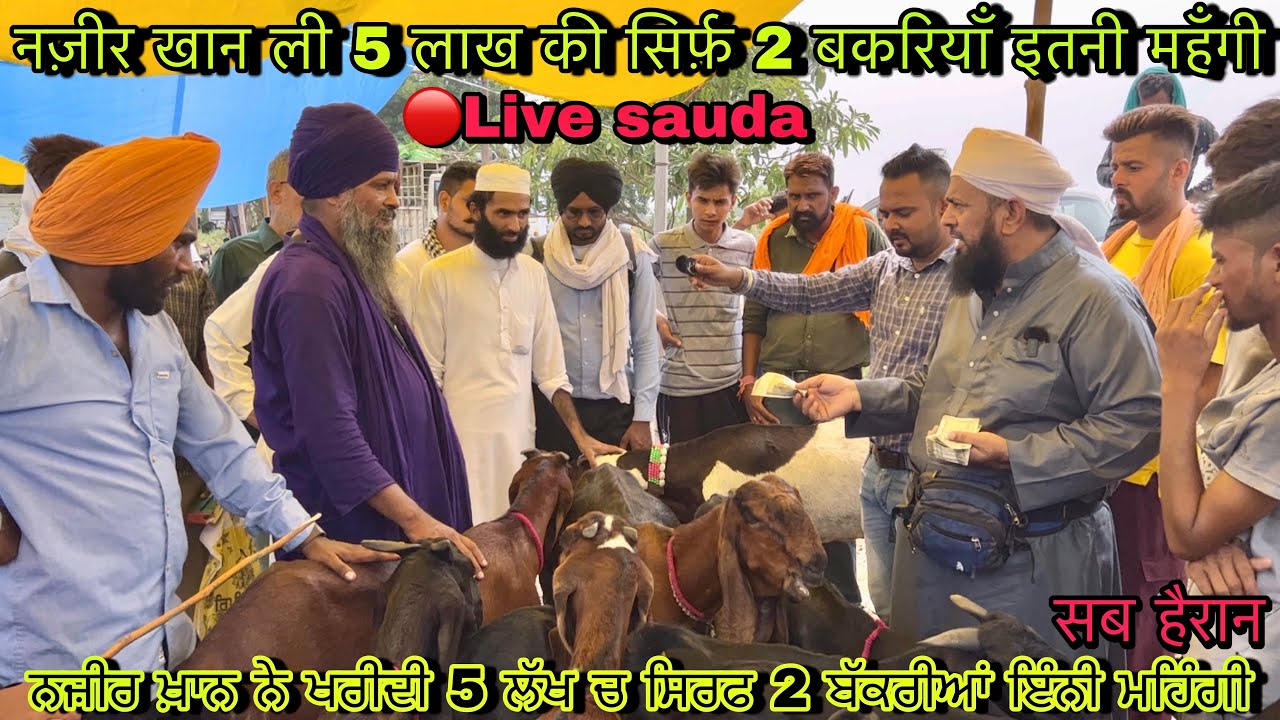 नज़ीर खान ली 5 लाख की सिर्फ़ 2 बकरियाँ इतनी महँगी #live_sauda Mullanpur bakri bazar @farmingbaba