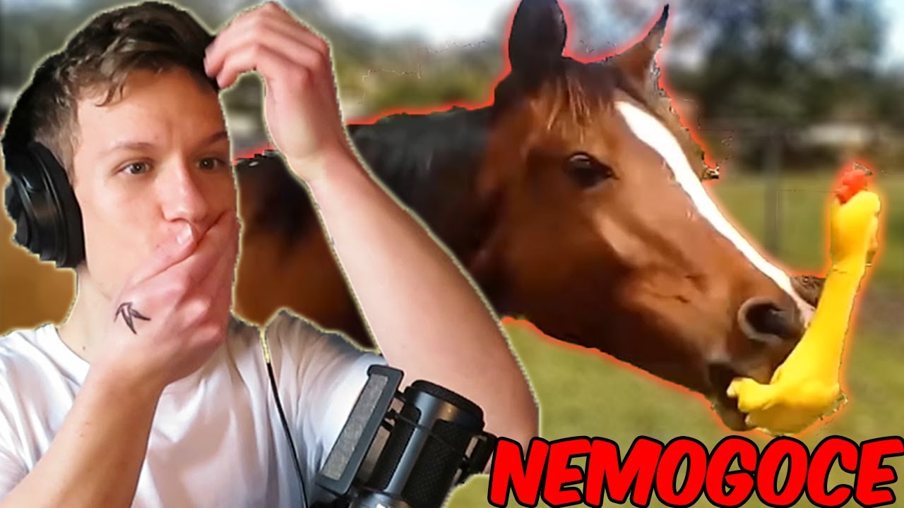 Najtežji SMEJIŠ ZGUBIŠ Challenge