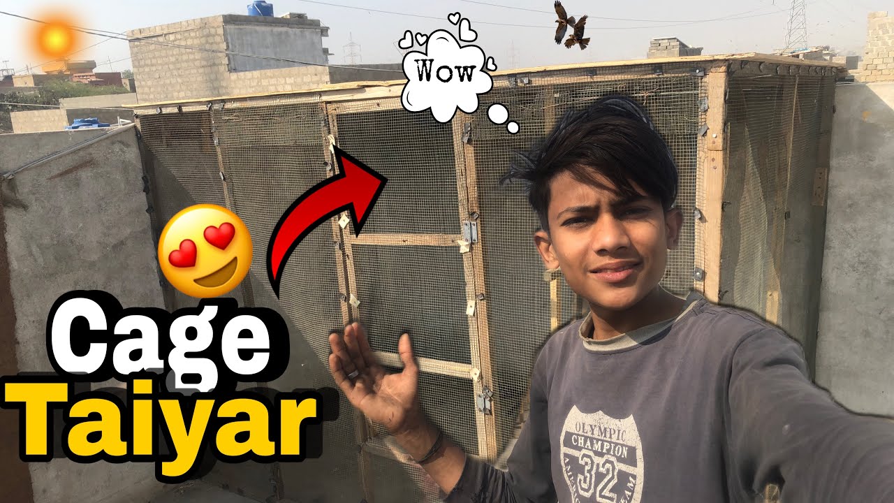 Cage Taiyar Ho gaya 😍
