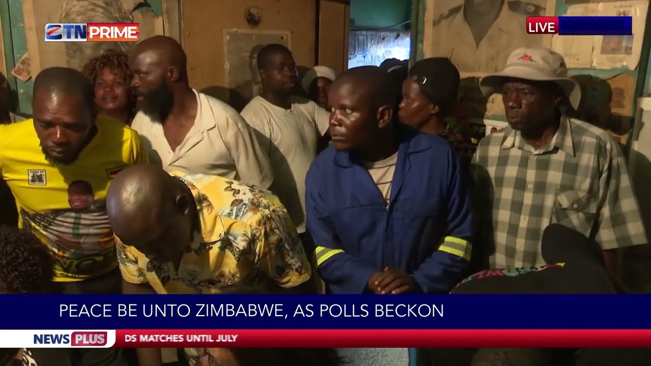 News Plus |  Zim Senate Outlaws Harming National Interests | ZTN Prime